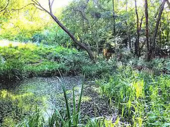 Photo de Pierre-Emmanuel naturel Garden
