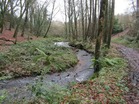 Photo de Reubens Glen