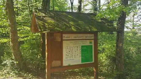 Photo de La Forêt Communale de Valentigney