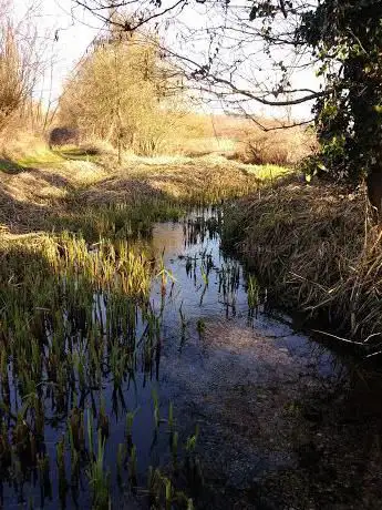 Photo de Lemsford Springs