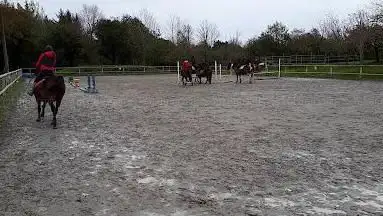 Photo de Lannion Equitation