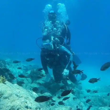Photo de ida dalış merkezi