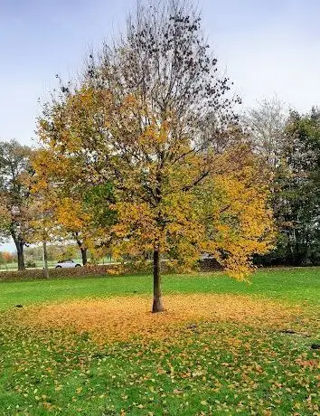 Photo de Bürger Park