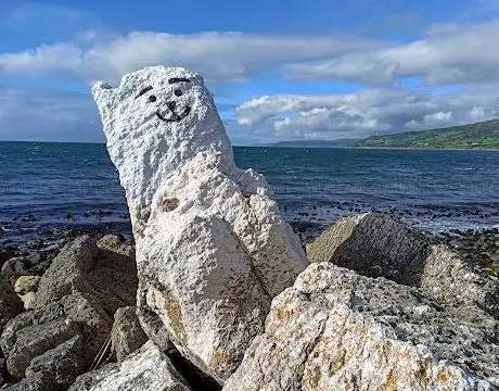 Photo de The Ballygally Polar Bear