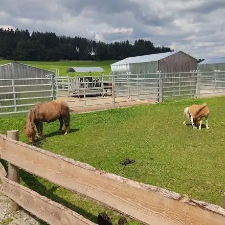 Photo de Steffi's Ponyhof / Pferdehandlung