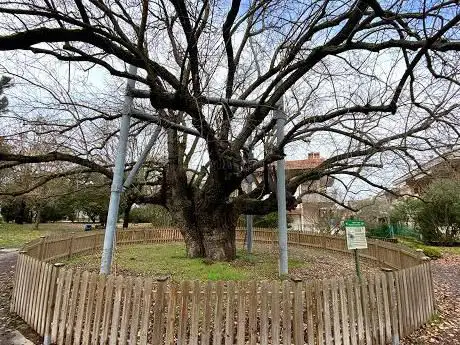 Photo de Parco del Gelso