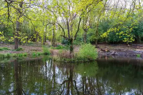 Photo de Lesnes Abbey Woods Local Nature Reserve