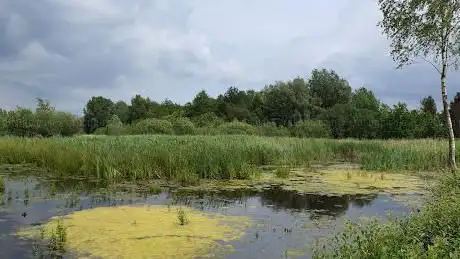 Photo de Het Goorken