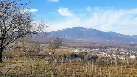 Photo de Luginsland