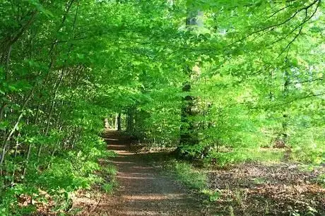 Photo de Zauberpfad