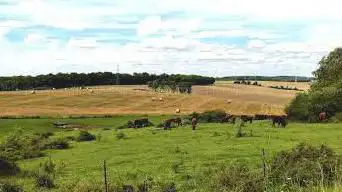 Photo de Fort de Fermont