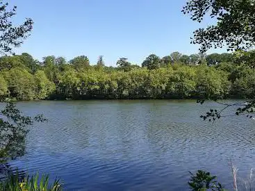 Photo de Étang de la Minière