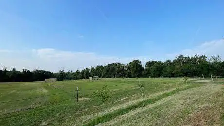 Photo of Scuderia Munel