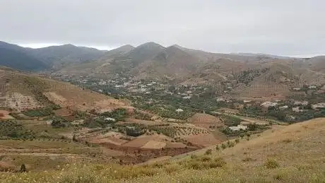 Photo de بستان عبد الرحمان
