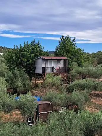 Photo de Casa Rural Delta del Ebro Villafeliche