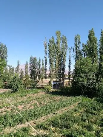 Photo de Kahramanmaraş Belediye Parkı