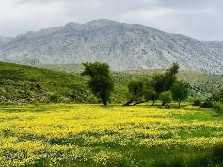 Photo de Sariot Lake