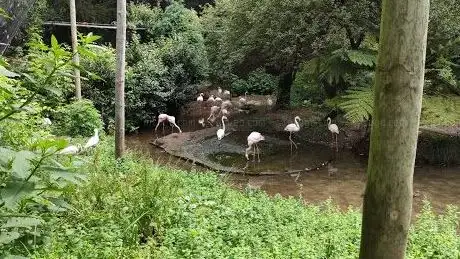 Photo de Zoo Lourosa - Parque Ornitológico