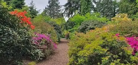 Photo de Arboretum w Kórniku