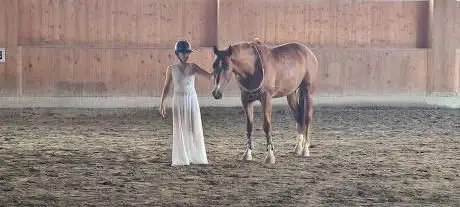 Photo de Articolo V Horse Academy