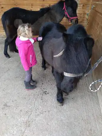 Photo de Poney Club Ma Bohème