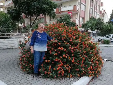 Photo de Yedi Eylül Parkı