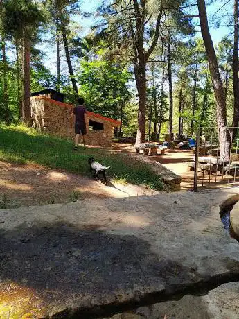 Photo de Fuente de la Hoja