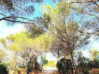 Photo de Belvedere du chemin des Crêtes