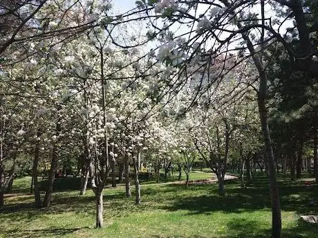 Photo de Park