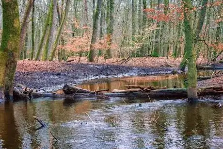 Photo de Hierdensebeek