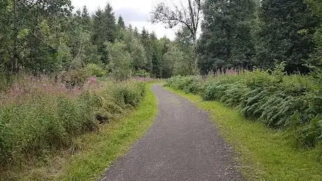 Garvagh Forest