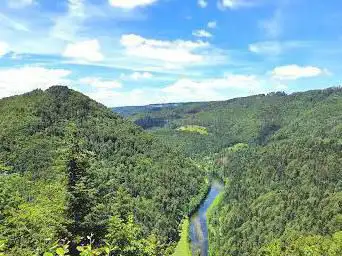 Photo de Belvédère des Fougères