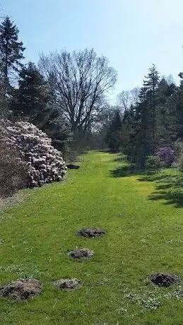 Photo of Arboretum