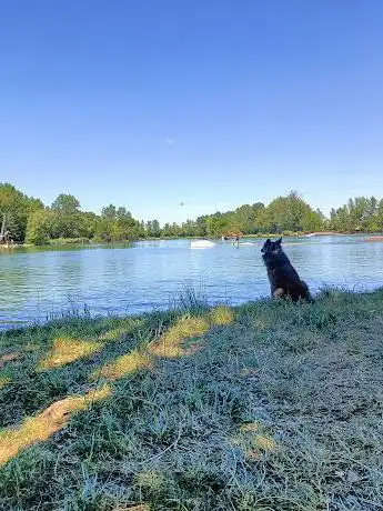 Photo de Plage Lac de Braguessou