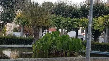 Photo de Jardim Brás de Albuquerque
