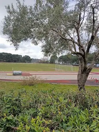 Photo de Campo sportivo Zafferana Etnea