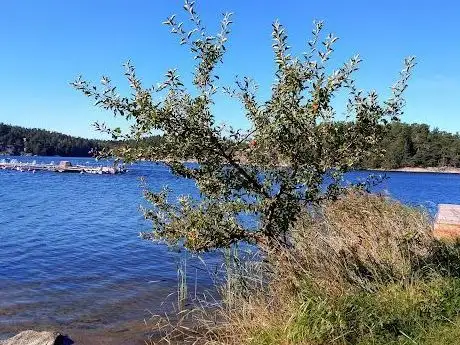 Photo de Sommarbo badplats