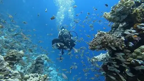 Photo de Anar Dive Center