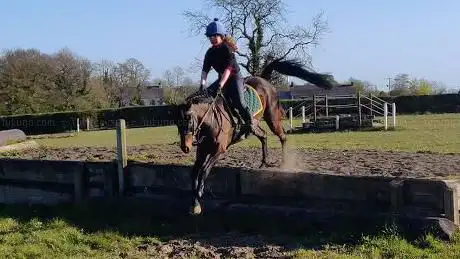 Dirraw Farm Cross country Complex