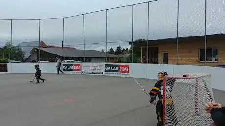 Photo de FaesBau Arena SHC Bulldozers Kernenried - Zauggenried