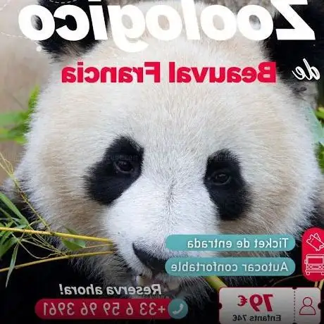 Photo of Paris Tours Panoramix (Panoramix Paris Tour)