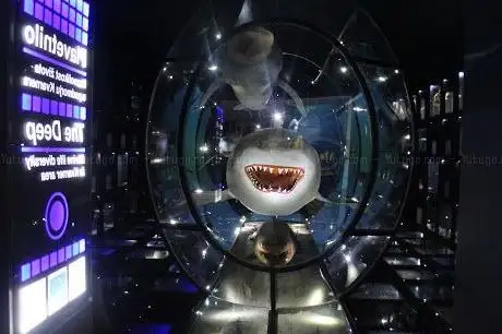 Photo of Natural History Museum Rijeka