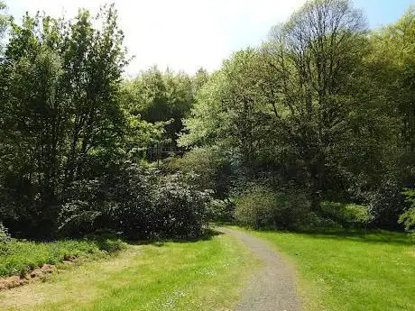 Portglenone forest park