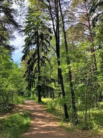 Photo de Blodstensskogen