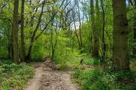 Photo de Hardwick Wood