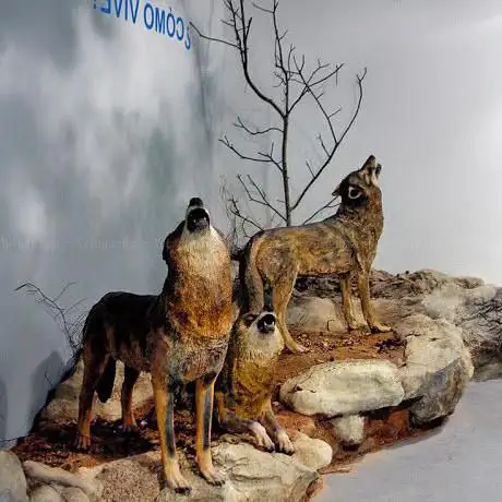 Photo de La Casa del Lobo
