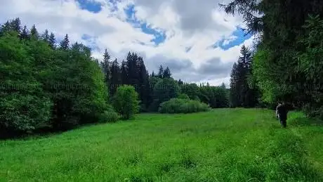 Photo de Weiße Schwarza