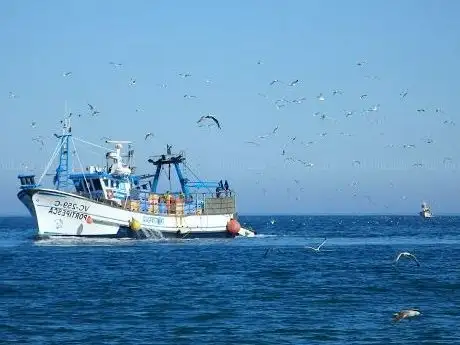 Photo de ALGARVE WOW