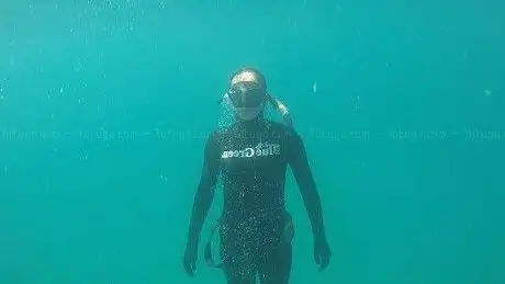 Foto de Águas Vivas Apneia - Freediving Portugal