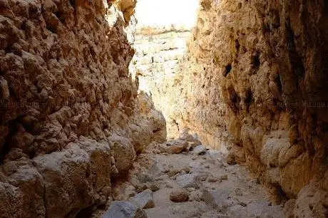 Photo de The Wall الحيطة